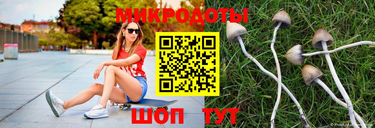 наркотики  Псилоцибиновые грибы Magic Shrooms  Ногинск  Вход с VPN  Псилоцибиновые грибы мицелий 